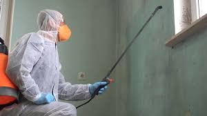 Best Biohazard Mold Removal  in Labasas, CA